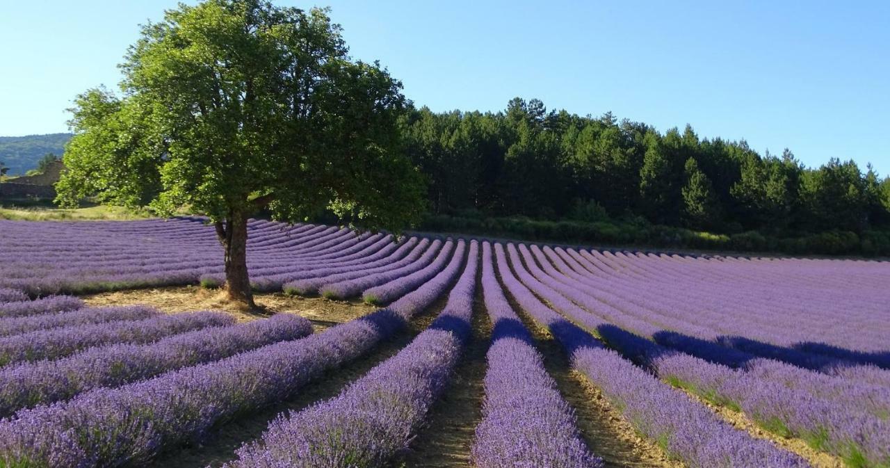L'Abricotier Villa มาโลแซน ภายนอก รูปภาพ